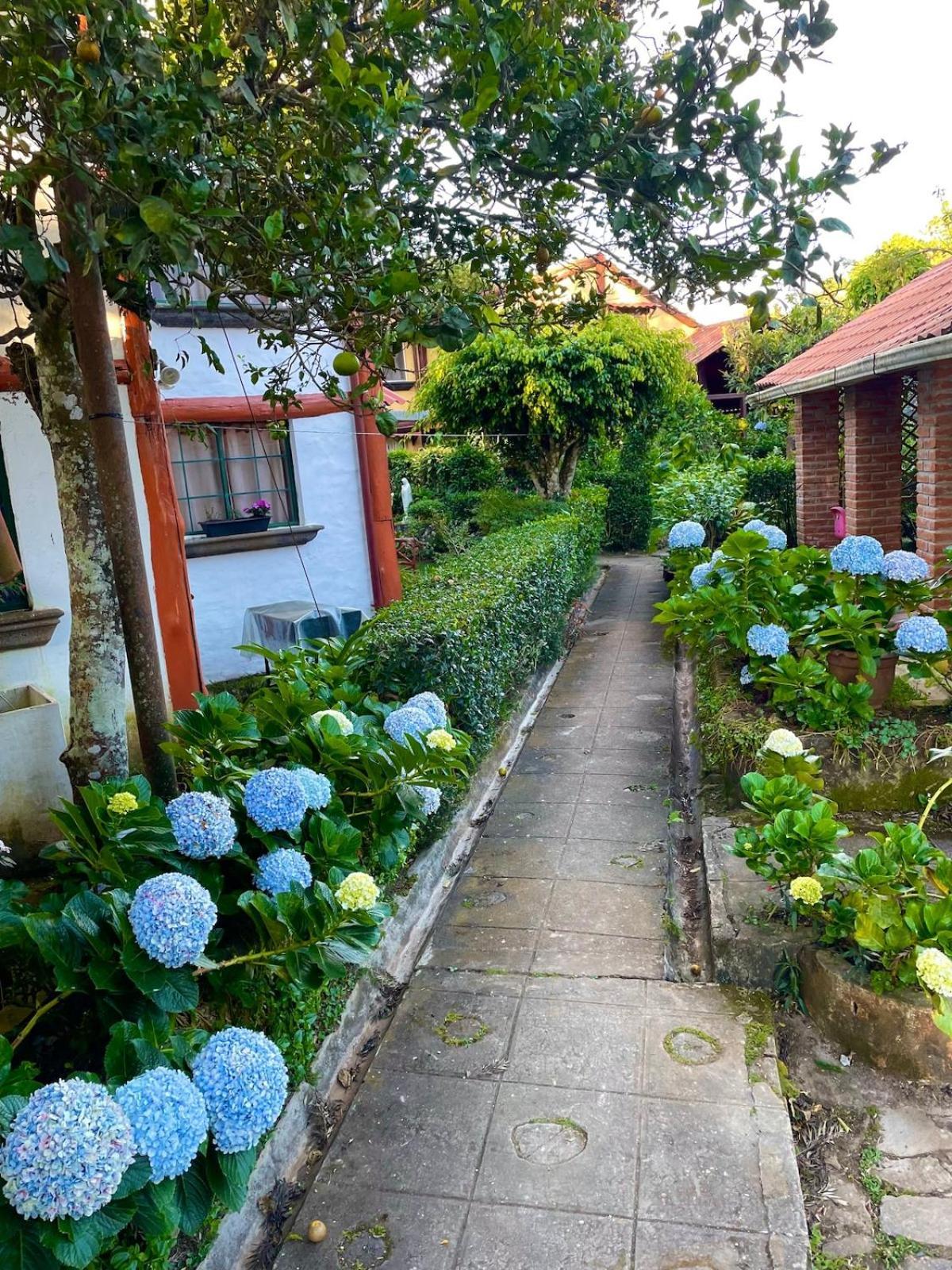 Casa Heidi, Apaneca Villa ภายนอก รูปภาพ